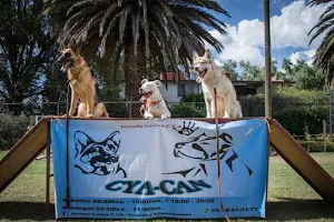 Escuela de adiestramiento canino CYA-CAN image