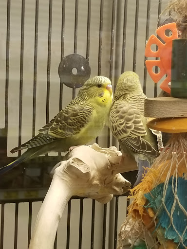 Pet Supply Store «PetSmart», reviews and photos, 5574 West Grand Parkway South, Richmond, TX 77406, USA