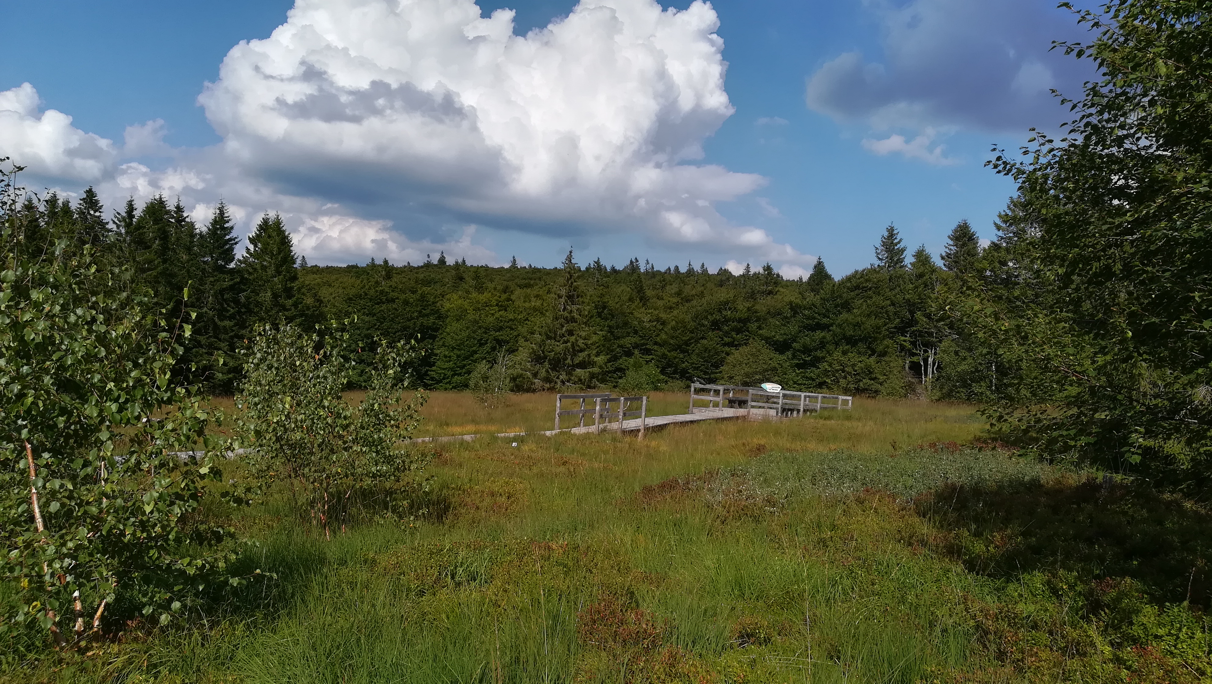 Photo n° 4 de l'avis de henrich.i fait le 27/08/2018 à 16:42