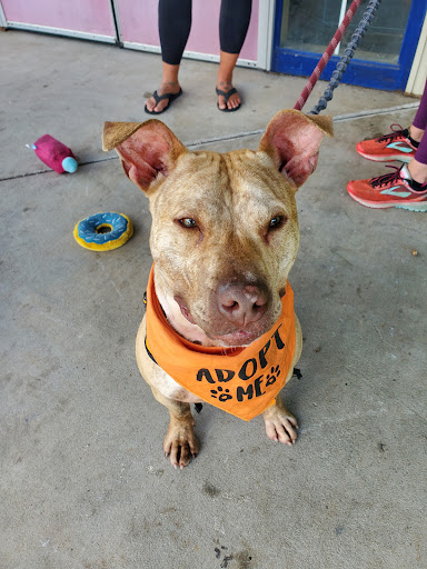 Pet Supply Store «Rosedale Mills», reviews and photos, 101 NJ-31, Pennington, NJ 08534, USA