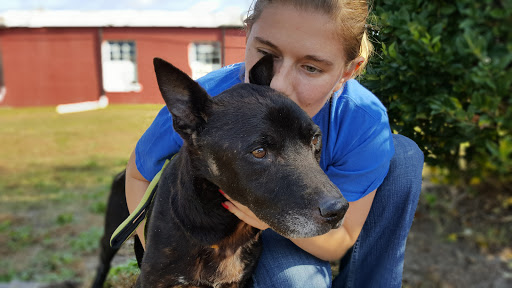 2003 US-301, Wilson, NC 27893, USA