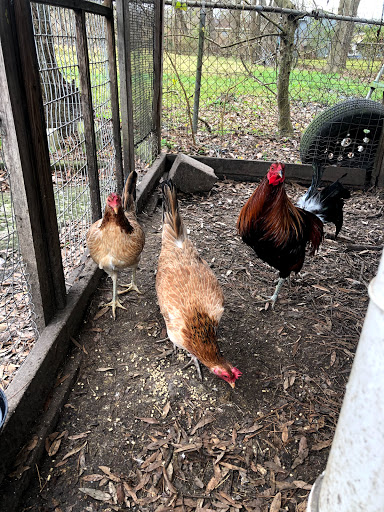 Shopping Mall «The Shops at Stone Park», reviews and photos, 5810 East Sam Houston Pkwy N, Houston, TX 77049, USA