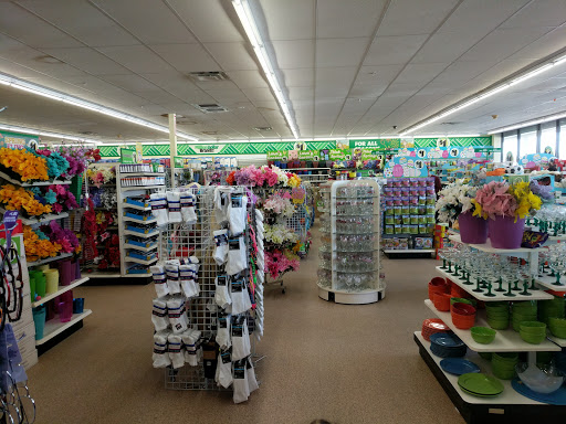 Dollar Store «Dollar Tree», reviews and photos, 180 Milk St, Westborough, MA 01581, USA