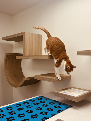 Royal Loop Vet Clinic