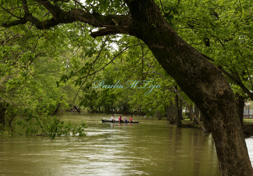 Golf Club «Drakes Creek Activity Center», reviews and photos, 130 Cherokee Rd, Hendersonville, TN 37075, USA