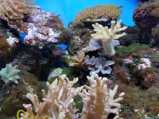 Pet Store «Pet World Warehouse Outlet», reviews and photos, 2984 S 108th St, Milwaukee, WI 53227, USA