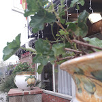 Photo n°4 de l'avis de giulio.e fait le 08/12/2018 à 15:50 sur le  Trattoria Fratelli Borrello à Sinagra