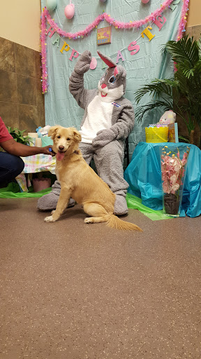 Pet Supply Store «PetSmart», reviews and photos, 4400 Fort Jackson Blvd #300, Columbia, SC 29209, USA