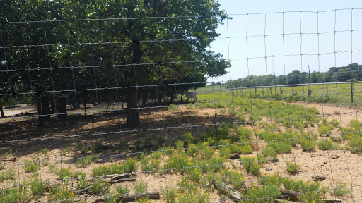 Ranch «Sharkarosa Wildlife Ranch», reviews and photos, 11670 Massey Rd, Pilot Point, TX 76258, USA