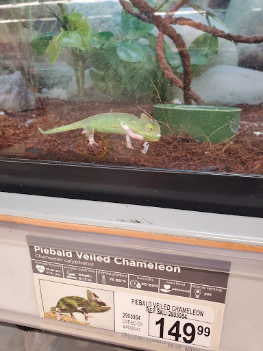 Pet Supply Store «Petco Animal Supplies», reviews and photos, 3165 Alpine Ave NW g, Walker, MI 49544, USA