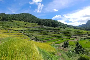 Nakayama Terraced Rice Fields image