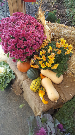 Farm «Alstede Farms», reviews and photos, 1 Alstede Farms Ln, Chester, NJ 07930, USA