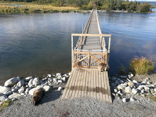 National Park «Katmai National Park and Preserve», reviews and photos