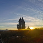 Photo n°13 de l'avis de MARION.a fait le 05/10/2021 à 07:22 sur le  Pension Wildererhof à Spiegelau