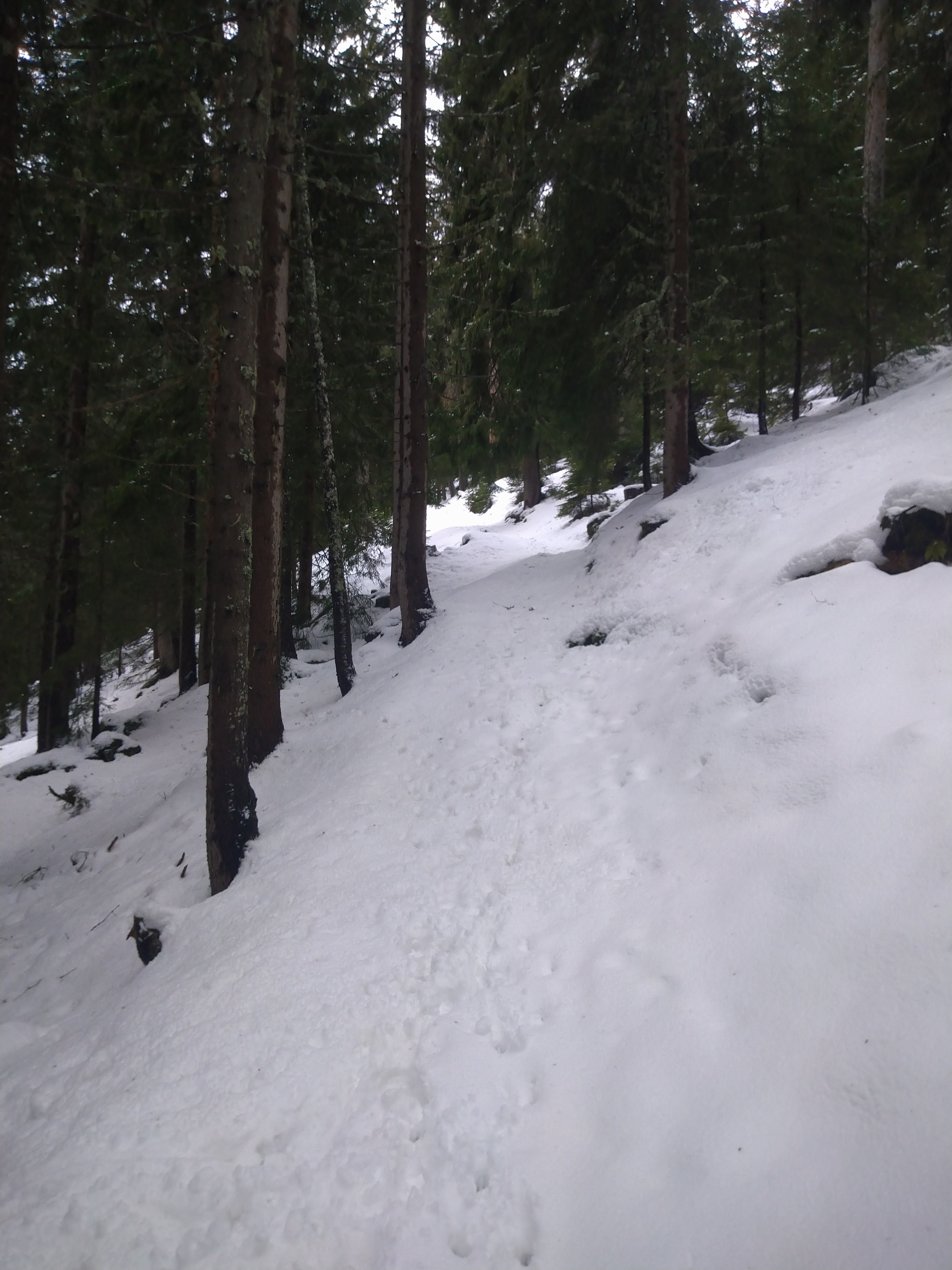 Photo n° 1 de l'avis de MOUSSELARD.� fait le 11/03/2020 à 19:02