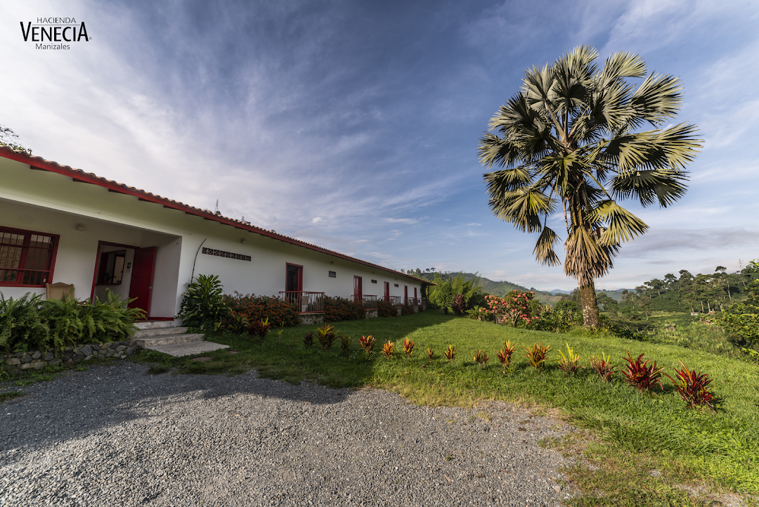 Hacienda Venecia Manizales l Finca cafetera l Coffee farm