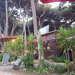 Photo n°5 de l'avis de Simone.e fait le 06/07/2019 à 18:51 sur le  Mata Mata à Viareggio