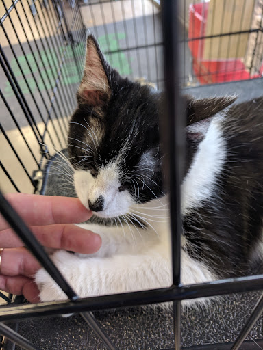 Pet Supply Store «Petsense Fort Worth», reviews and photos, 1408 Eastchase Pkwy #100, Fort Worth, TX 76120, USA