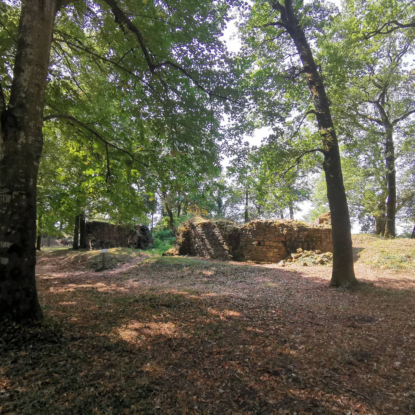 Photo n° 1 de l'avis de sylvain.e fait le 09/08/2020 à 15:13