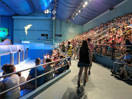 Zoo «Indianapolis Zoo», reviews and photos, 1200 W Washington St, Indianapolis, IN 46222, USA