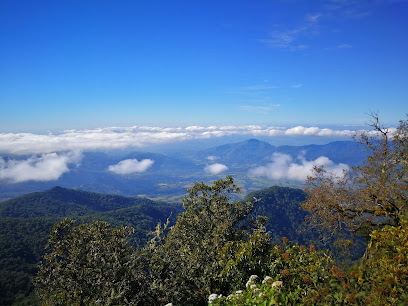 ANP Reserva de la Biósfera Sierra de Manantlán