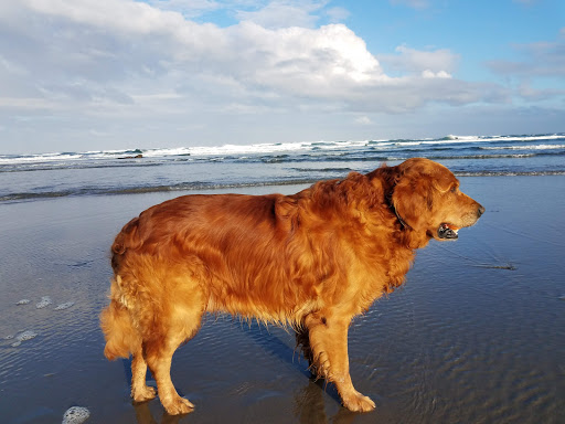 Pet Supply Store «Mini Pet Mart», reviews and photos, 815 S Broadway, Coos Bay, OR 97420, USA