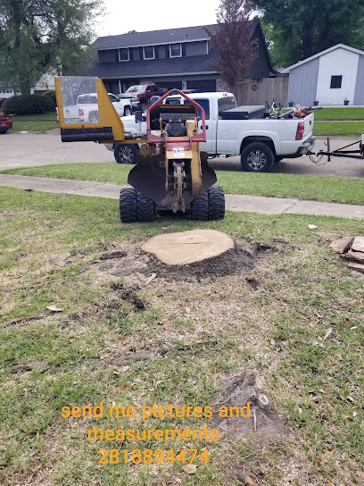M. Aguilar tree stump grinding