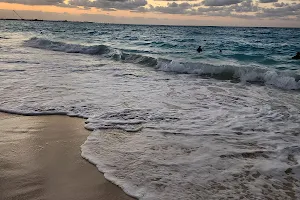 شاطئ عام image