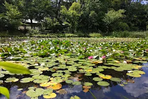 Ōno Pond image