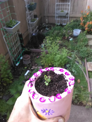 Convenience Store «7-Eleven», reviews and photos, 1396 Main St, Springfield, OR 97477, USA