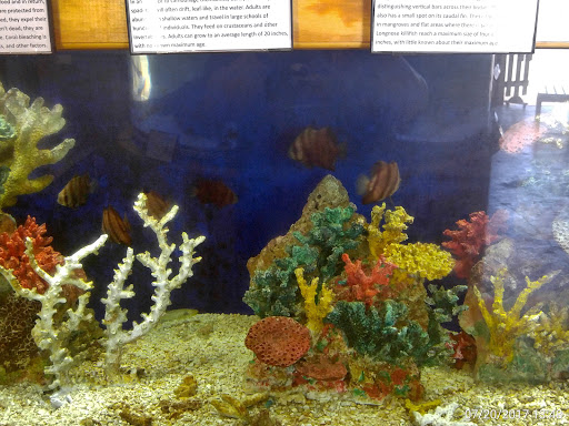 Aquarium «The Aquarium at Rockport Harbor, Inc.», reviews and photos, 706 Navigation Cir, Rockport, TX 78382, USA