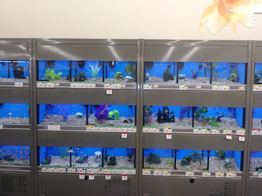 Pet Supply Store «Pet Supplies Plus», reviews and photos, 2801 Wade Hampton Blvd #100, Taylors, SC 29687, USA