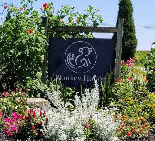 Winery «Monkey Hollow Winery», reviews and photos, 11534 E County Road 1740 N, St Meinrad, IN 47577, USA