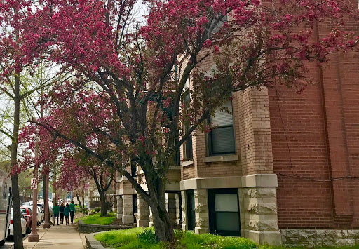 Bankruptcy Service «Brinkman & Alter, LLC», reviews and photos