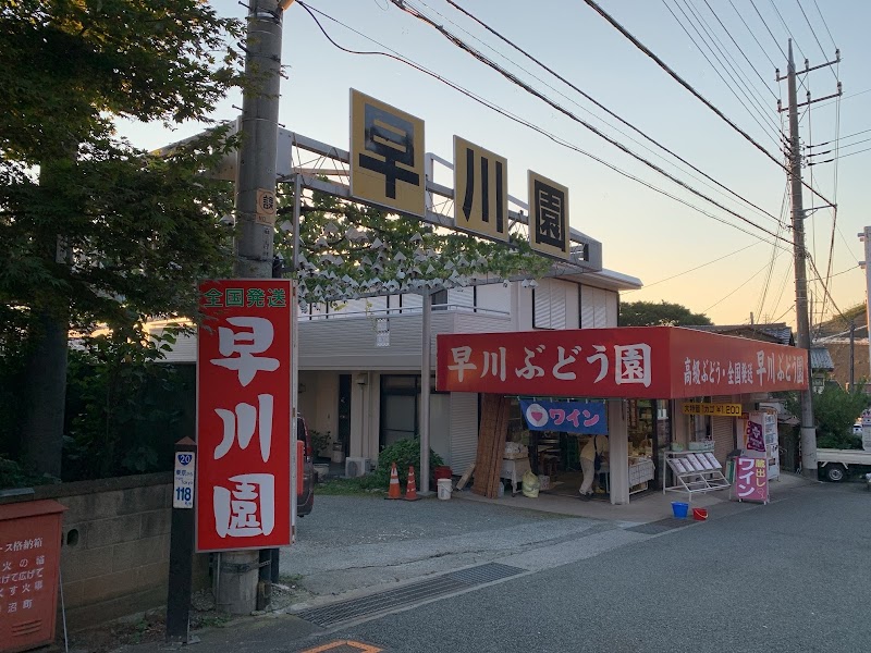 早川ぶどう園