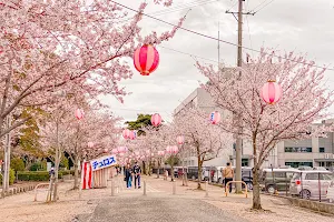 Toyokawa Park image