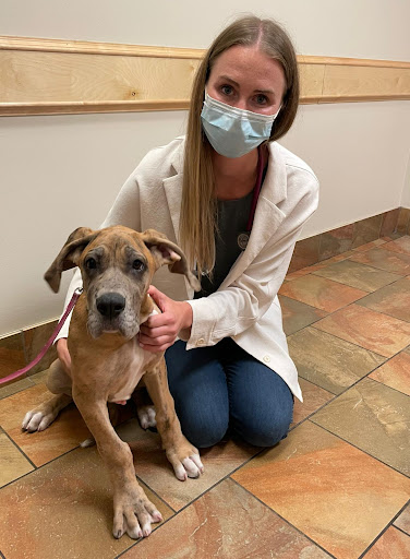Little Creek Veterinary Clinic