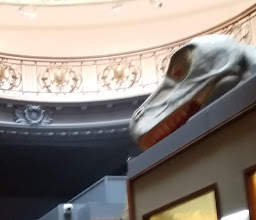 Natural Science Museum Research Centre photo