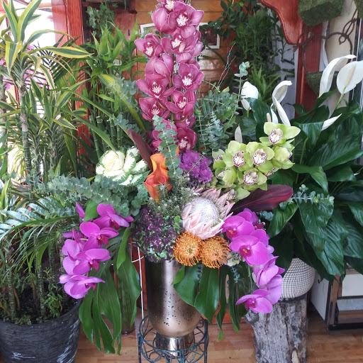 Florist «Alborada Florist», reviews and photos, 17 Huguenot St, New Rochelle, NY 10801, USA
