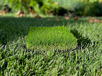 Verdigrass - Photo 5 - Car repair in Fremont, CA, Fremont