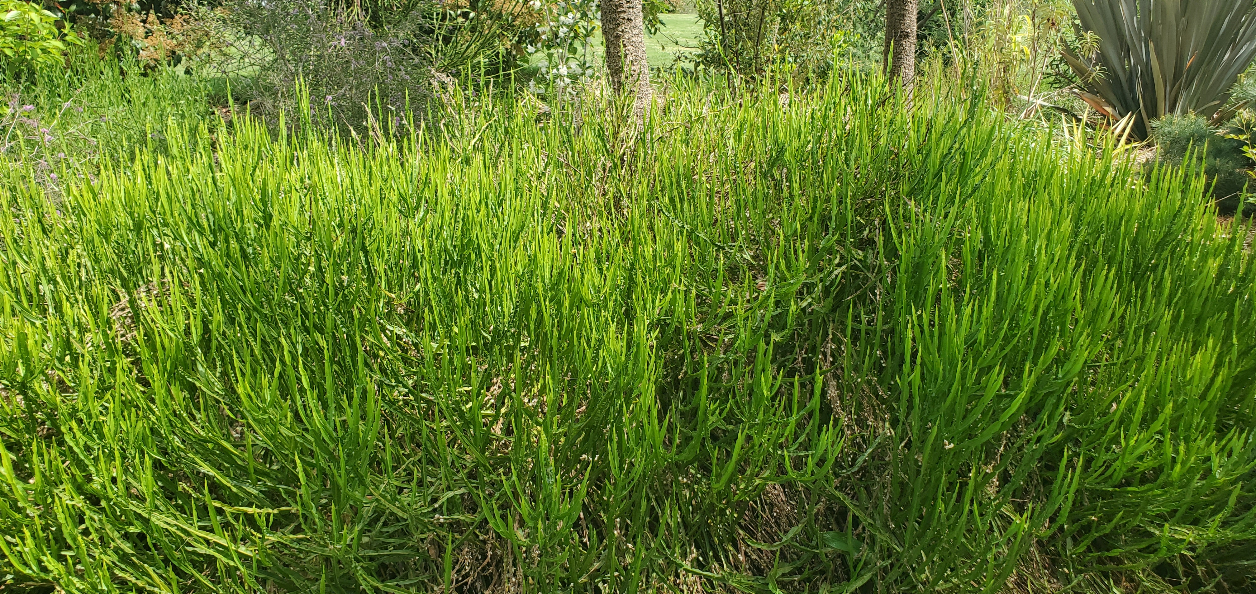 Photo n° 26 de l'avis de David.a fait le 06/05/2023 à 16:57