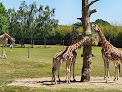 Zoo de La Boissière du Doré La Boissière-du-Doré