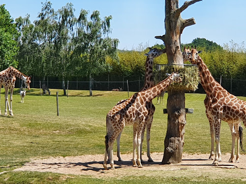 Zoo de La Boissière du Doré à La Boissière-du-Doré