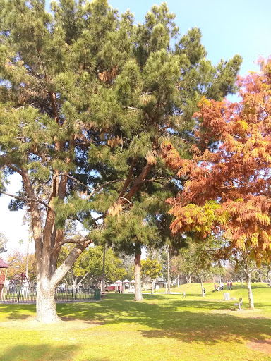 Park «Michigan Park», reviews and photos, 8228 Michigan Ave, Whittier, CA 90602, USA