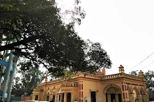 Nagar Palika Parishad, Hapur image