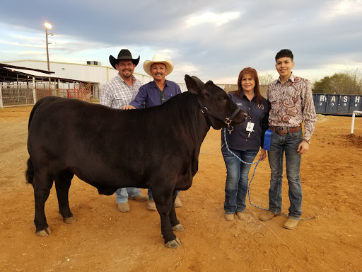 Livestock producer Laredo