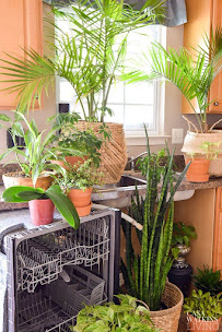 Farmers Insurance - Samuel Klein - Photo 3 - Car repair in Lake Forest, CA, Mission Viejo