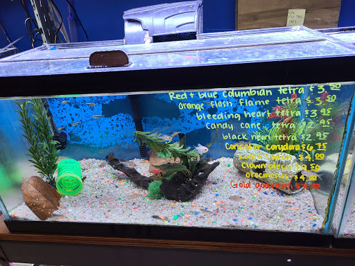 Pet Store «All About Pets LLC», reviews and photos, 52567 Columbia River Hwy, Scappoose, OR 97056, USA