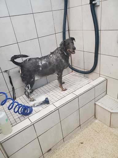 Pet Supply Store «Pet Supplies Plus», reviews and photos, 3340 Sheridan Dr, Amherst, NY 14226, USA