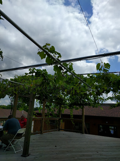 Winery «Villa Antonio Winery», reviews and photos, 3660 Linhorst Rd, Hillsboro, MO 63050, USA